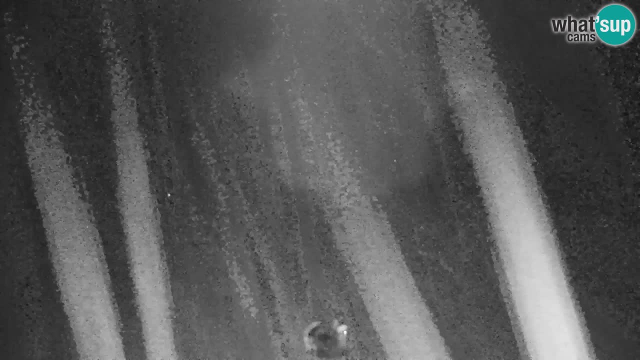 Kranjska Gora | Velika Dolina