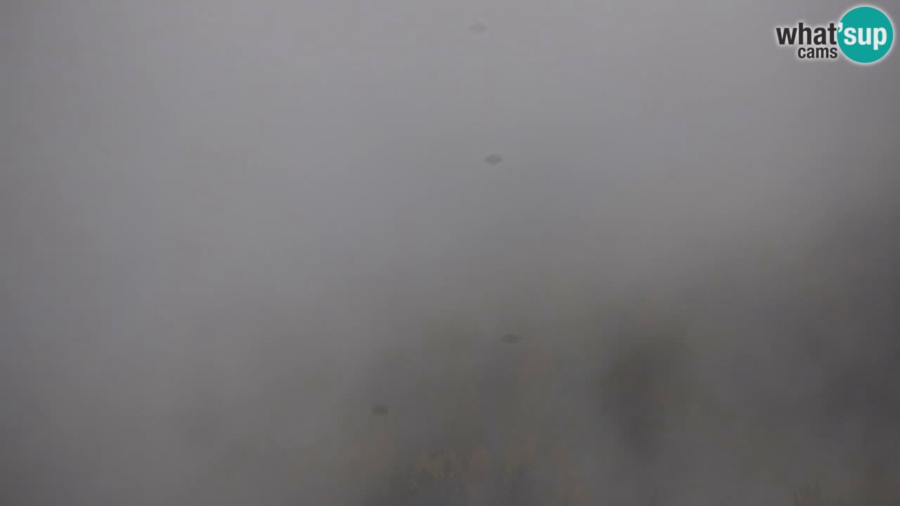 Estación de esquí Kranjska Gora | Velika Dolina