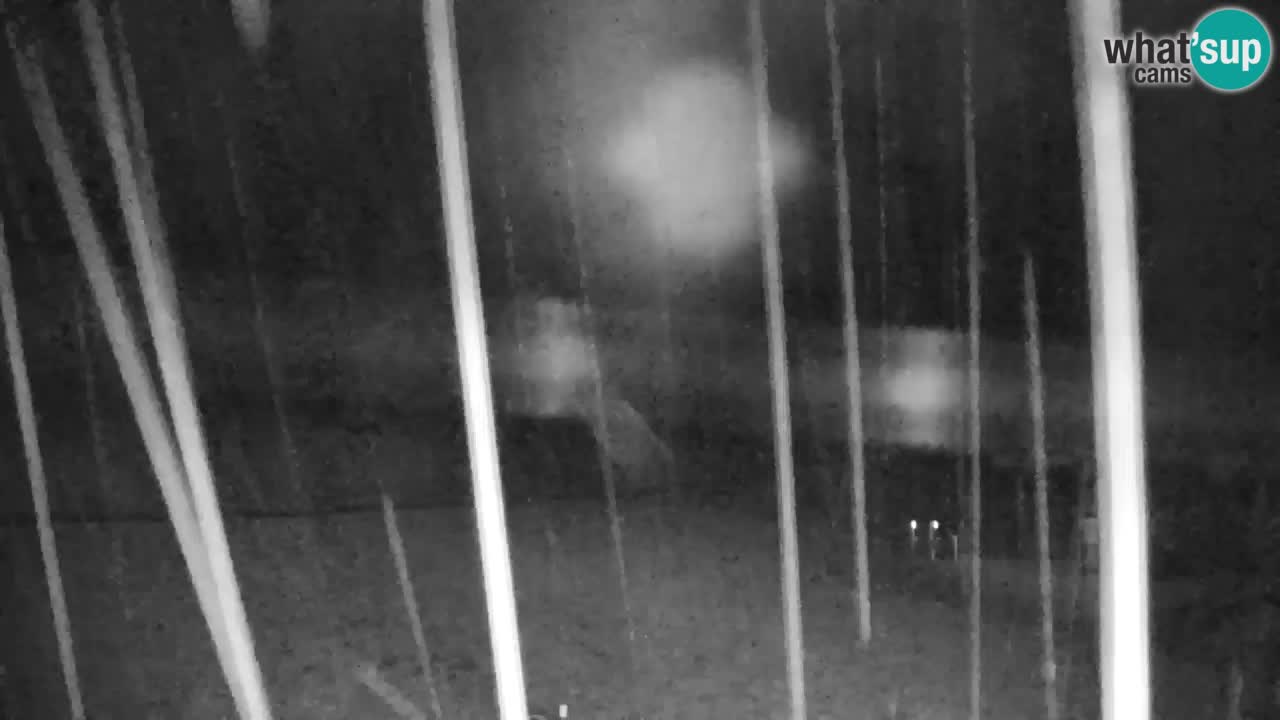 Ski Kranjska Gora | Velika Dolina