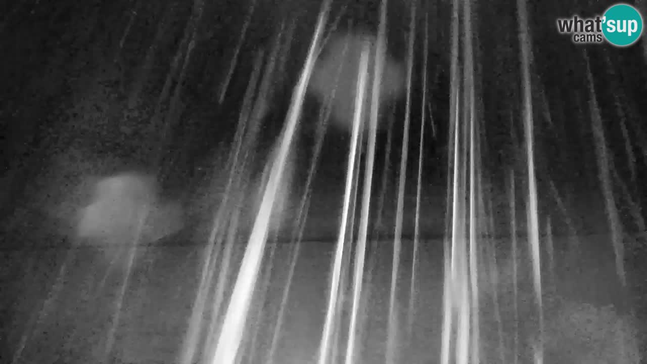 Ski Kranjska Gora | Velika Dolina