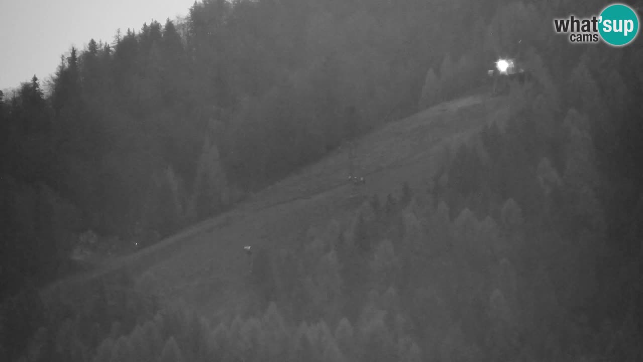 Skigebiet Kranjska Gora | Velika Dolina