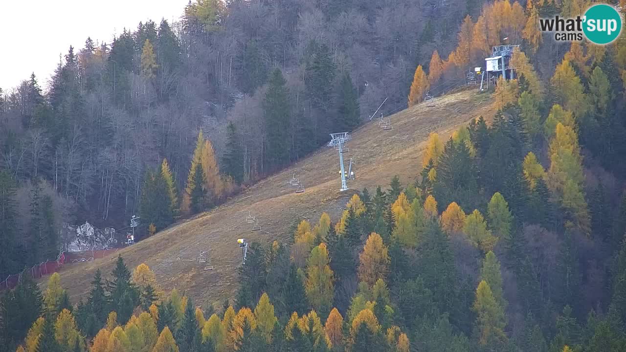 Kranjska Gora | Velika Dolina