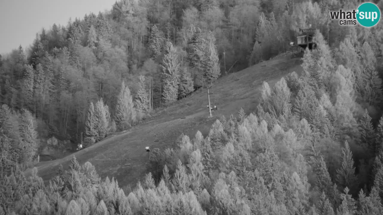 Ski Kranjska Gora | Velika Dolina