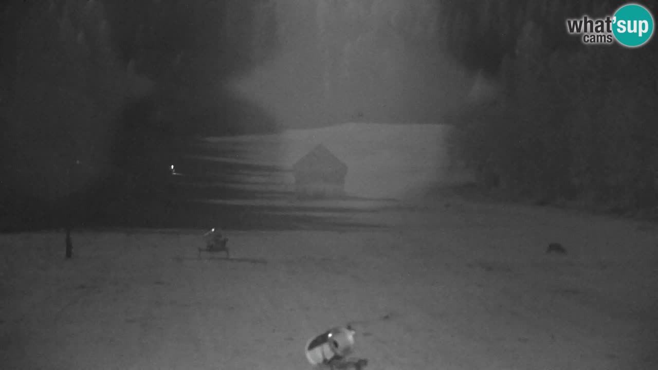 RTC Kranjska Gora | Velika Dolina