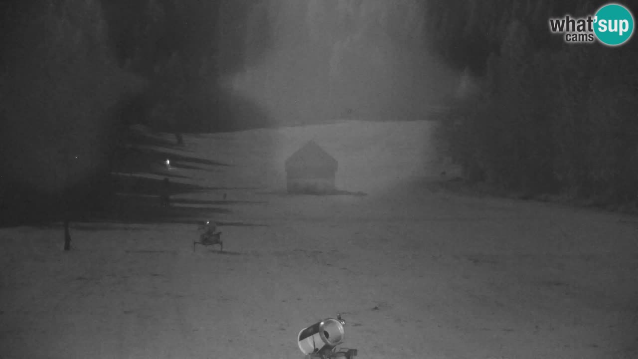 Ski Kranjska Gora | Velika Dolina