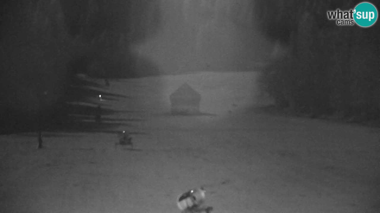 Estación de esquí Kranjska Gora | Velika Dolina