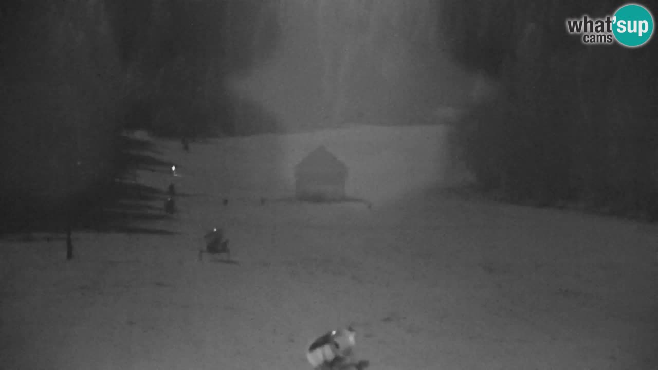 Skijanje Kranjska Gora | Velika Dolina