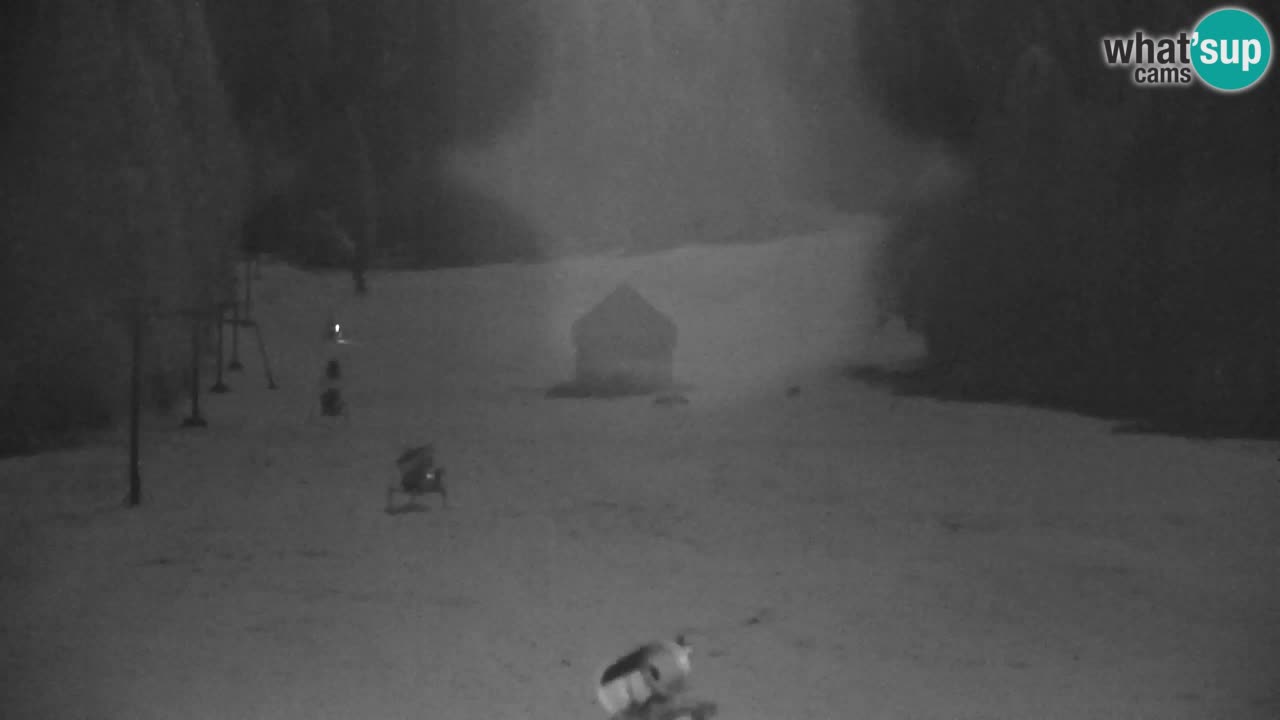 RTC Kranjska Gora | Velika Dolina