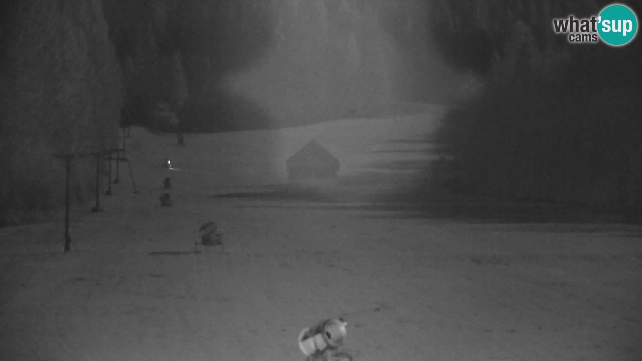 Skigebiet Kranjska Gora | Velika Dolina