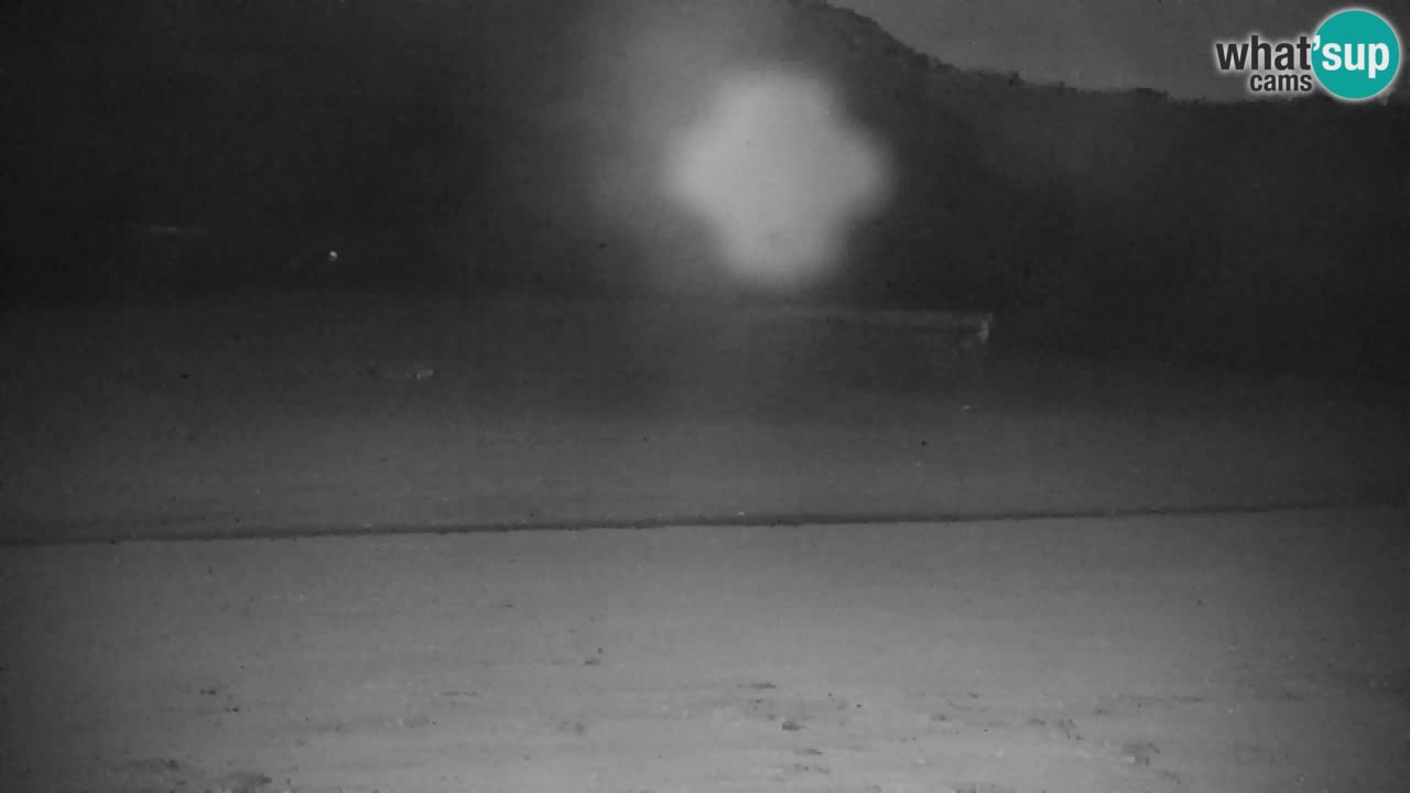 Ski Kranjska Gora | Velika Dolina