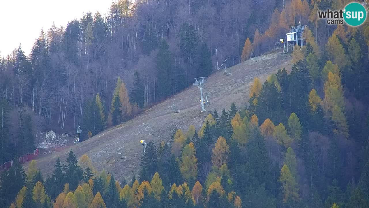 Ski Kranjska Gora | Velika Dolina