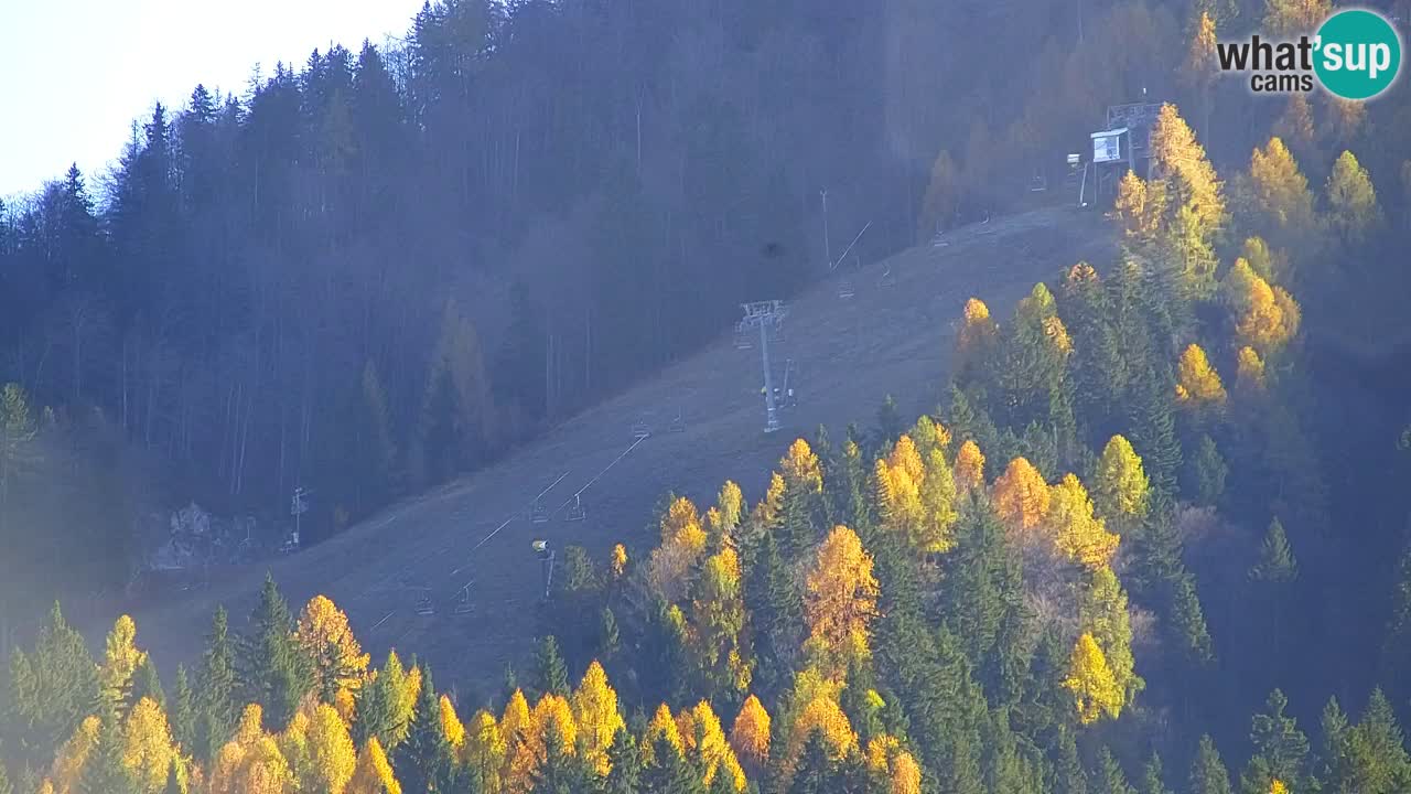 Ski Kranjska Gora | Velika Dolina