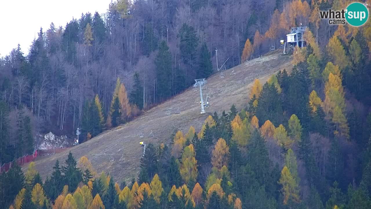 Estación de esquí Kranjska Gora | Velika Dolina