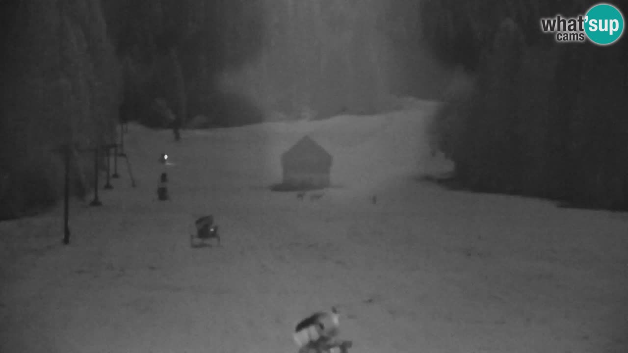 Estación de esquí Kranjska Gora | Velika Dolina