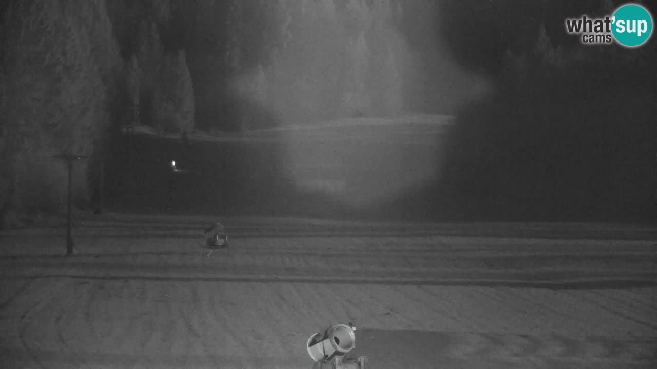 Ski Kranjska Gora | Velika Dolina