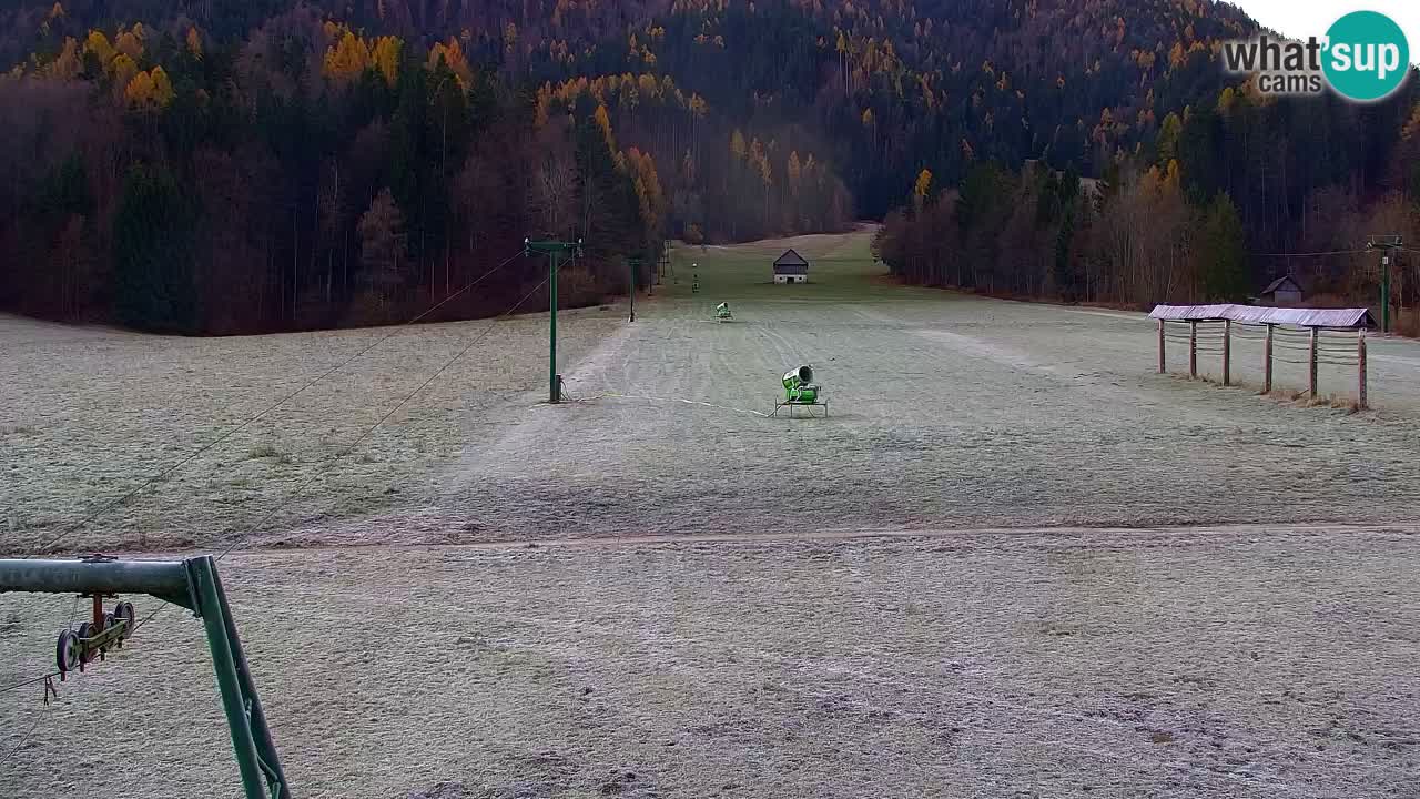 Ski Kranjska Gora | Velika Dolina