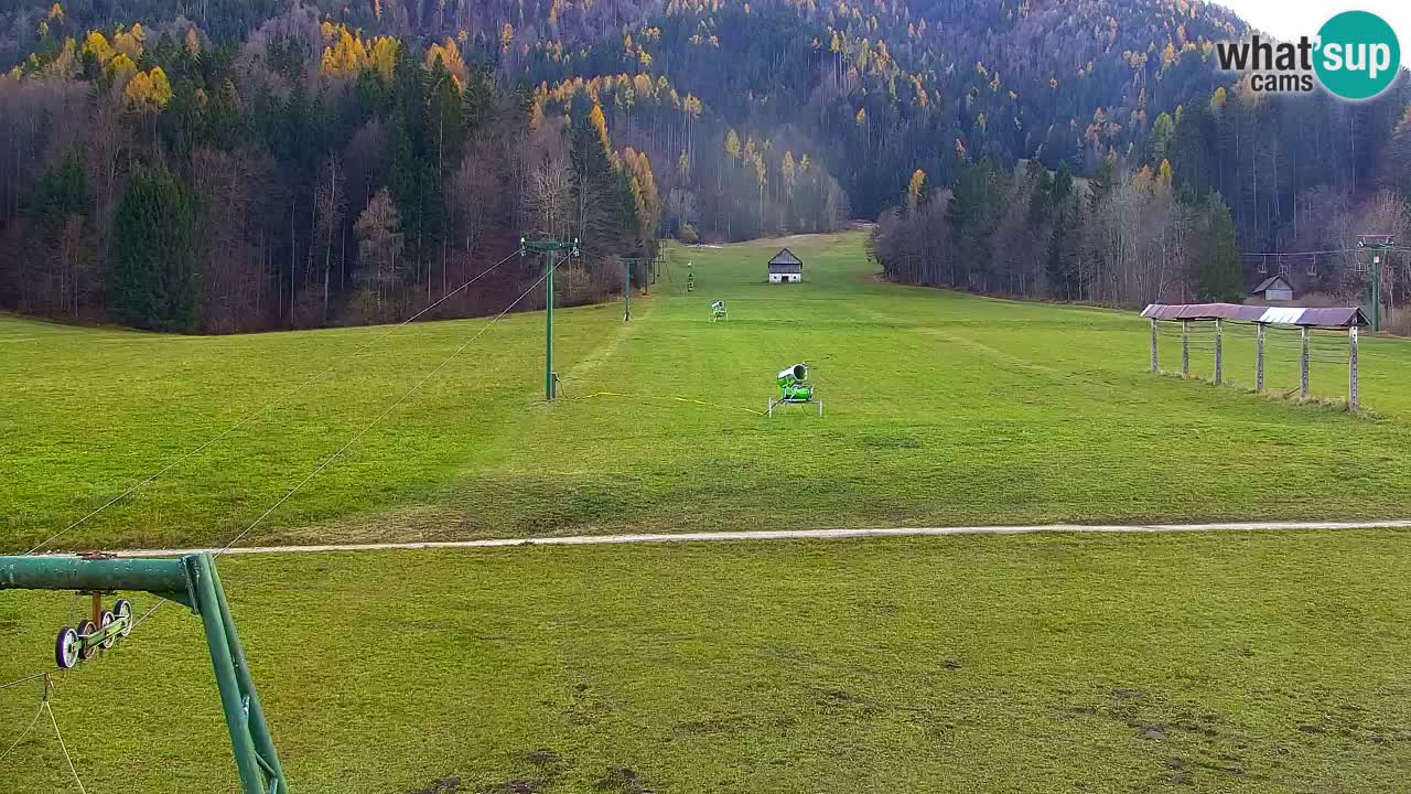 Ski Kranjska Gora | Velika Dolina