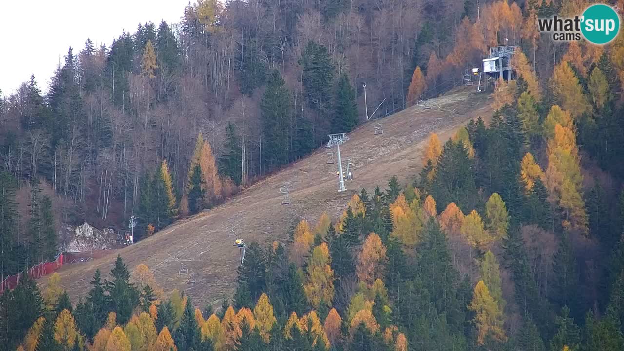 Ski Kranjska Gora | Velika Dolina