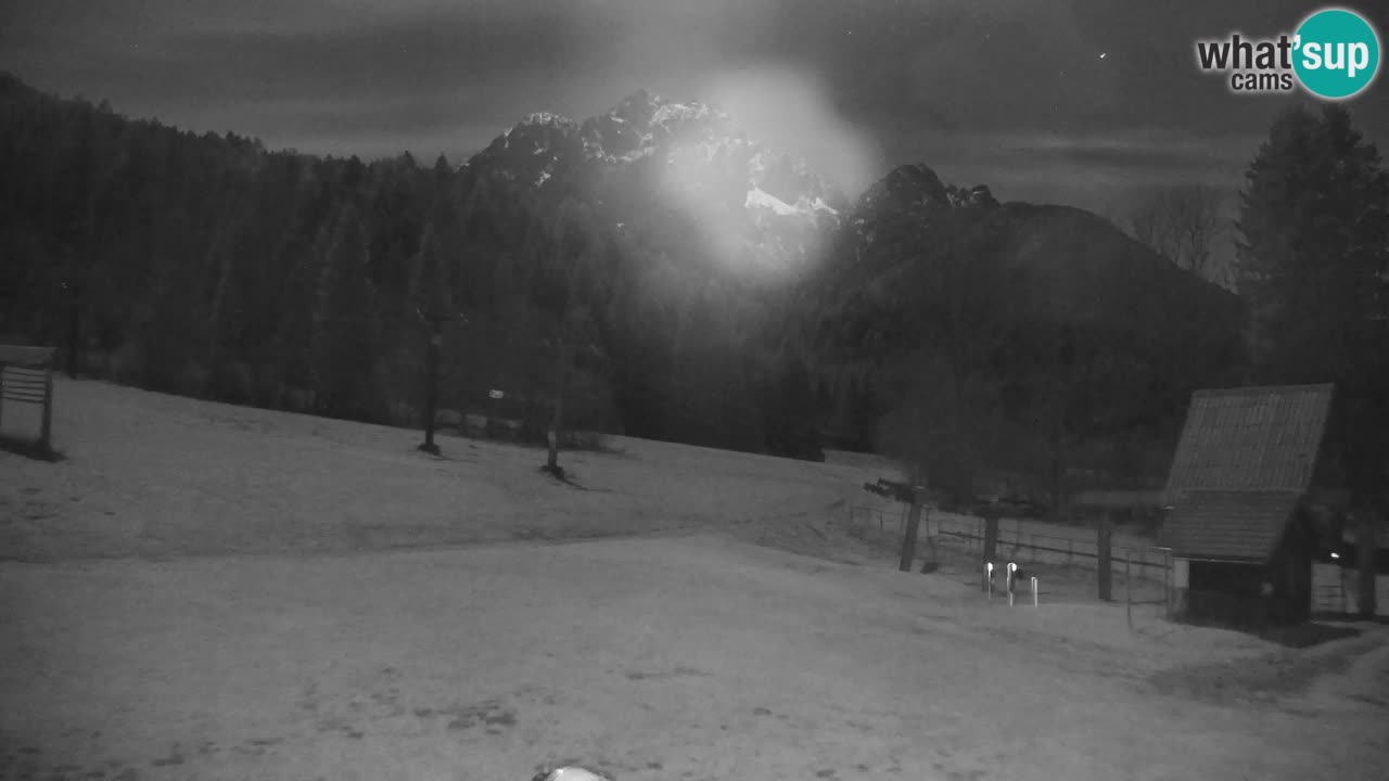 Ski Kranjska Gora | Velika Dolina