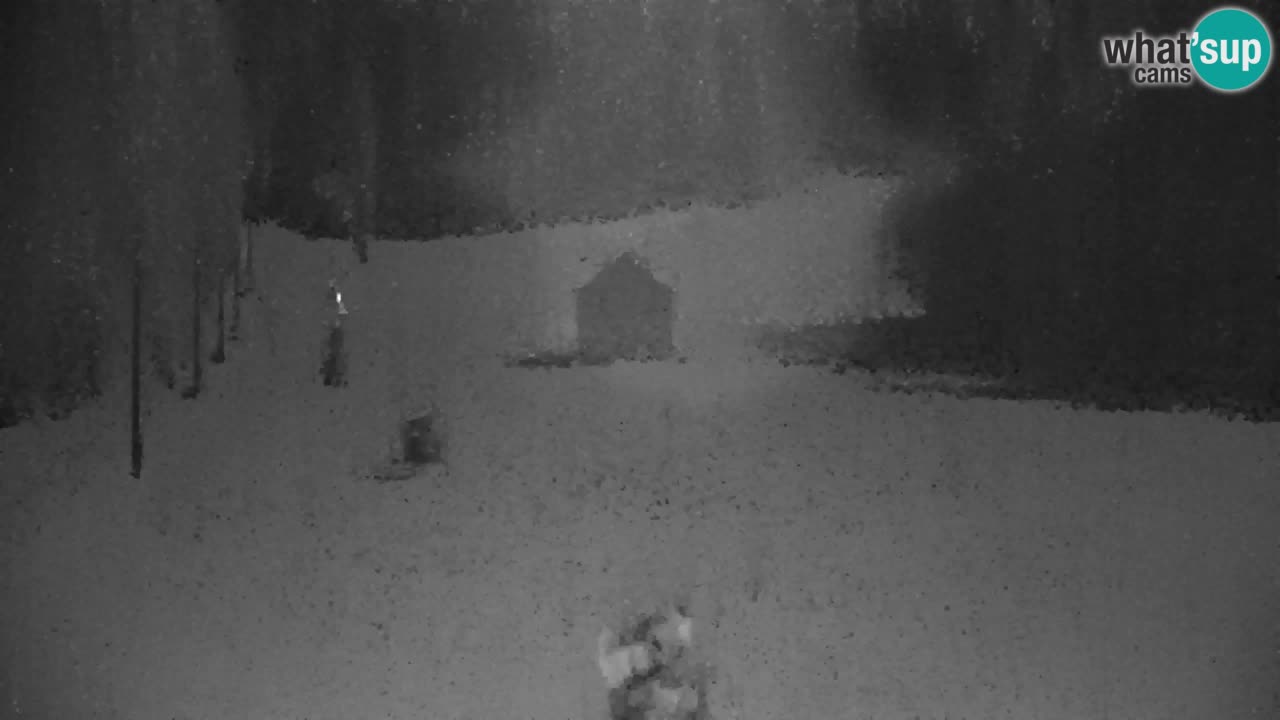 Skigebiet Kranjska Gora | Velika Dolina