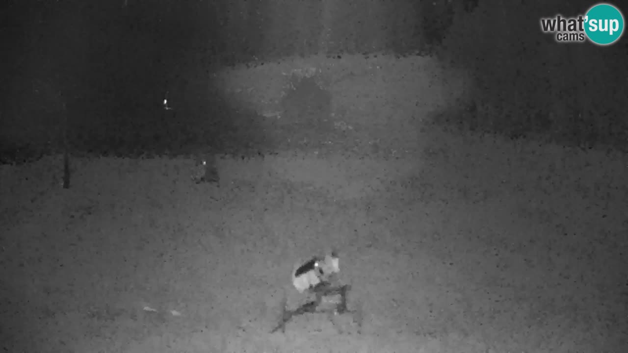 Skigebiet Kranjska Gora | Velika Dolina