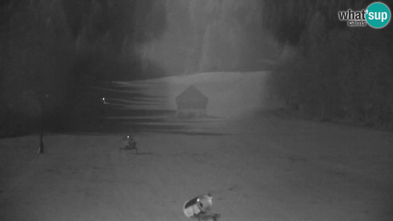 Ski Kranjska Gora | Velika Dolina