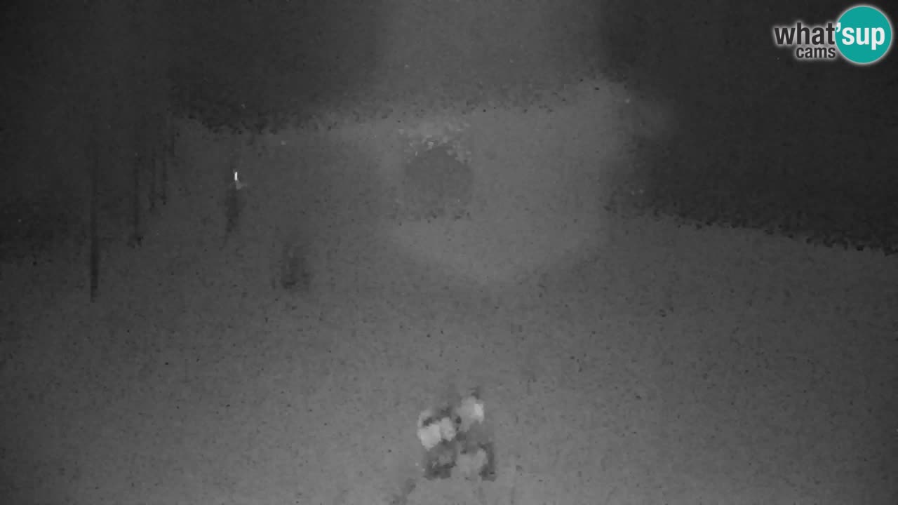 Skijanje Kranjska Gora | Velika Dolina