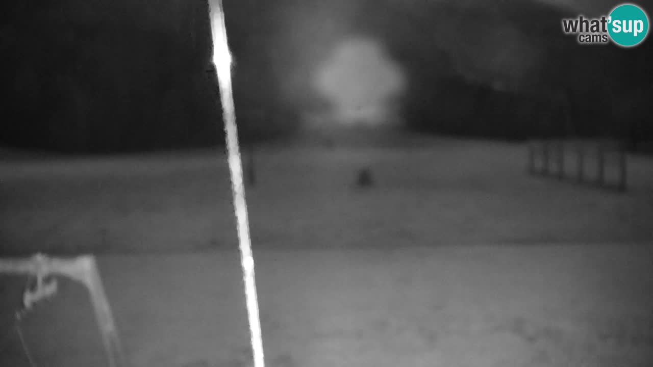 Ski Kranjska Gora | Velika Dolina