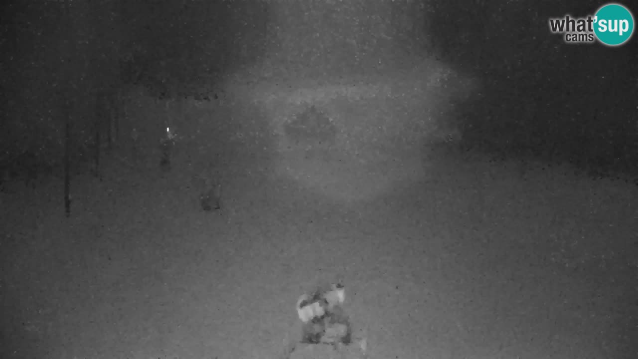 RTC Kranjska Gora | Velika Dolina