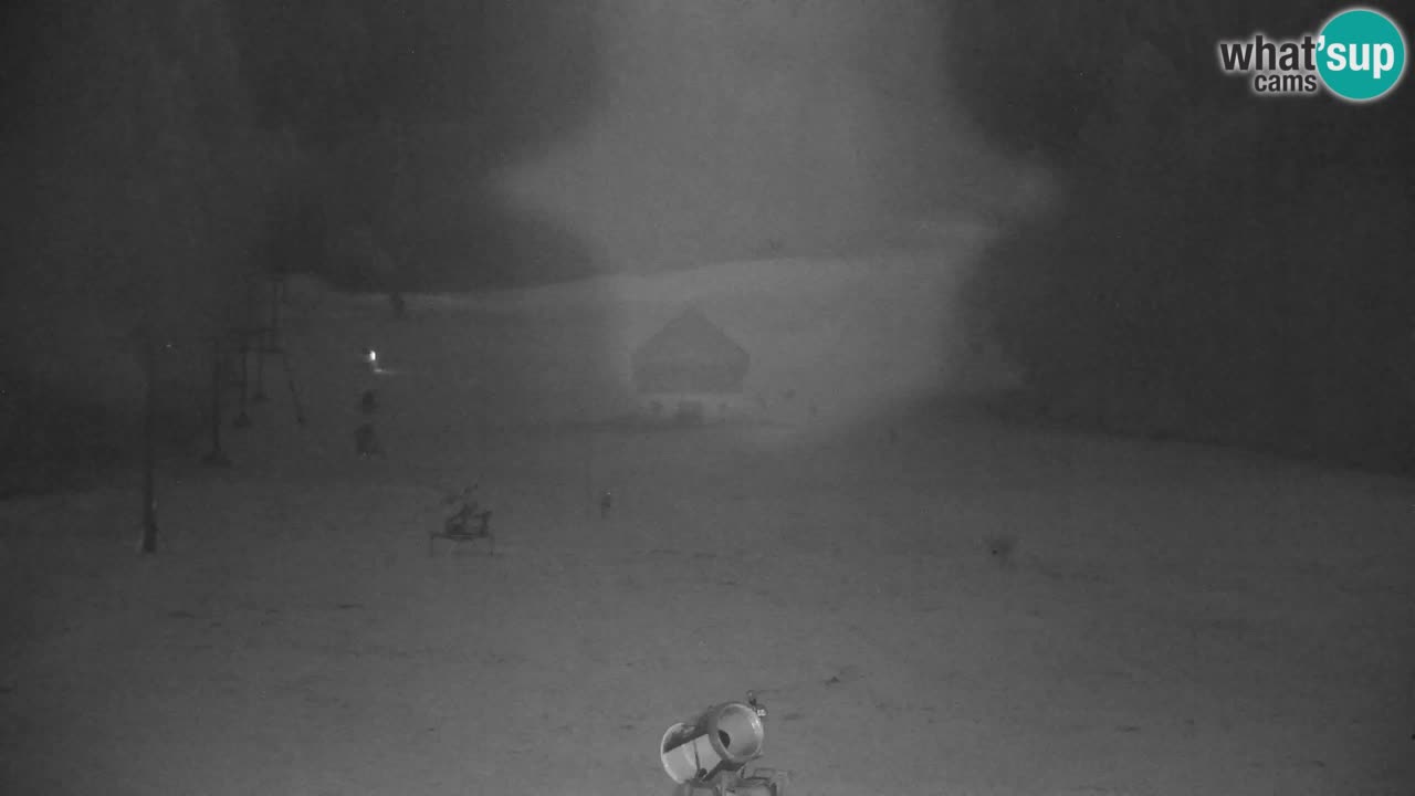 Skijanje Kranjska Gora | Velika Dolina