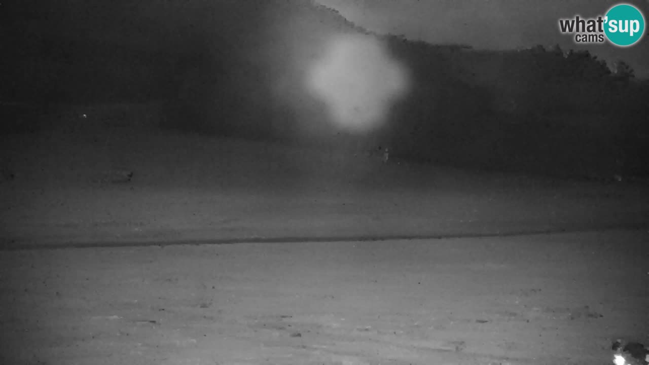 Skigebiet Kranjska Gora | Velika Dolina