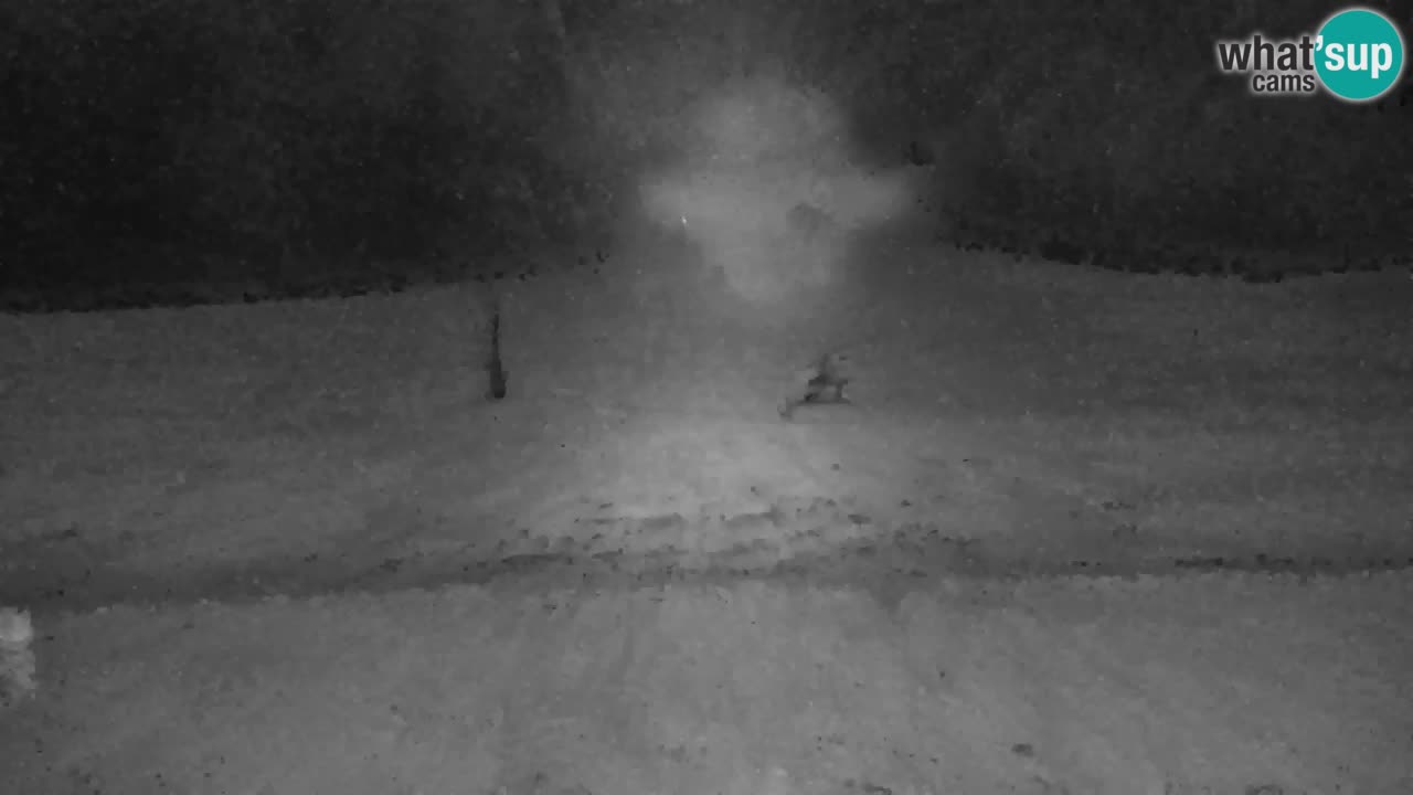 Skigebiet Kranjska Gora | Velika Dolina