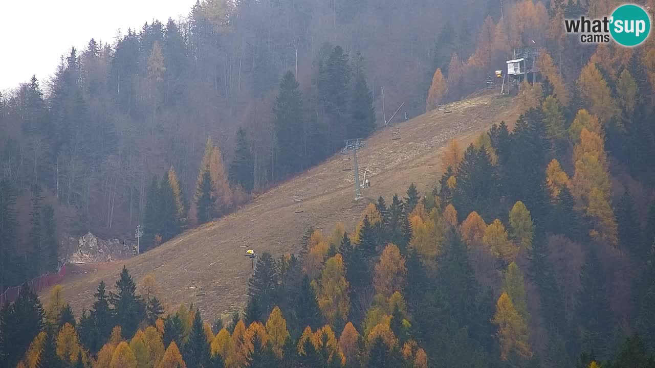 Ski Kranjska Gora | Velika Dolina