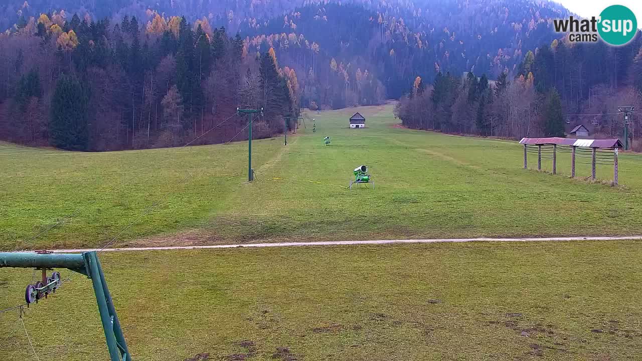 Skigebiet Kranjska Gora | Velika Dolina