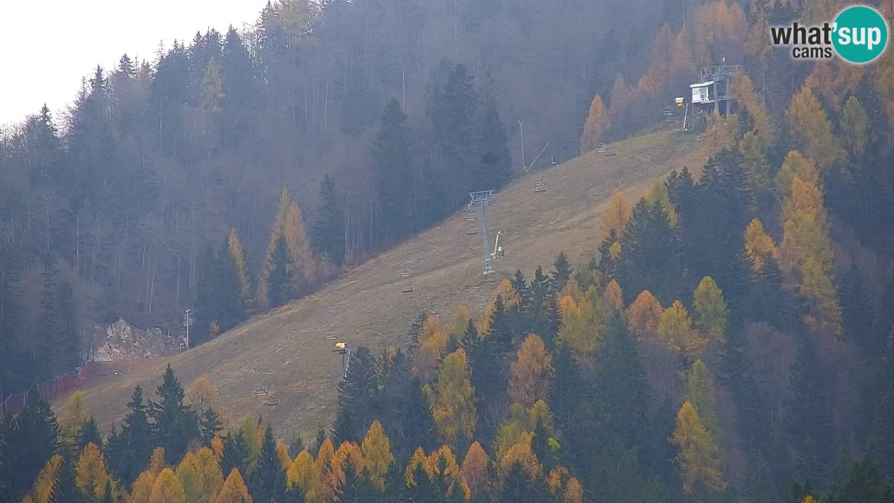 Ski Kranjska Gora | Velika Dolina