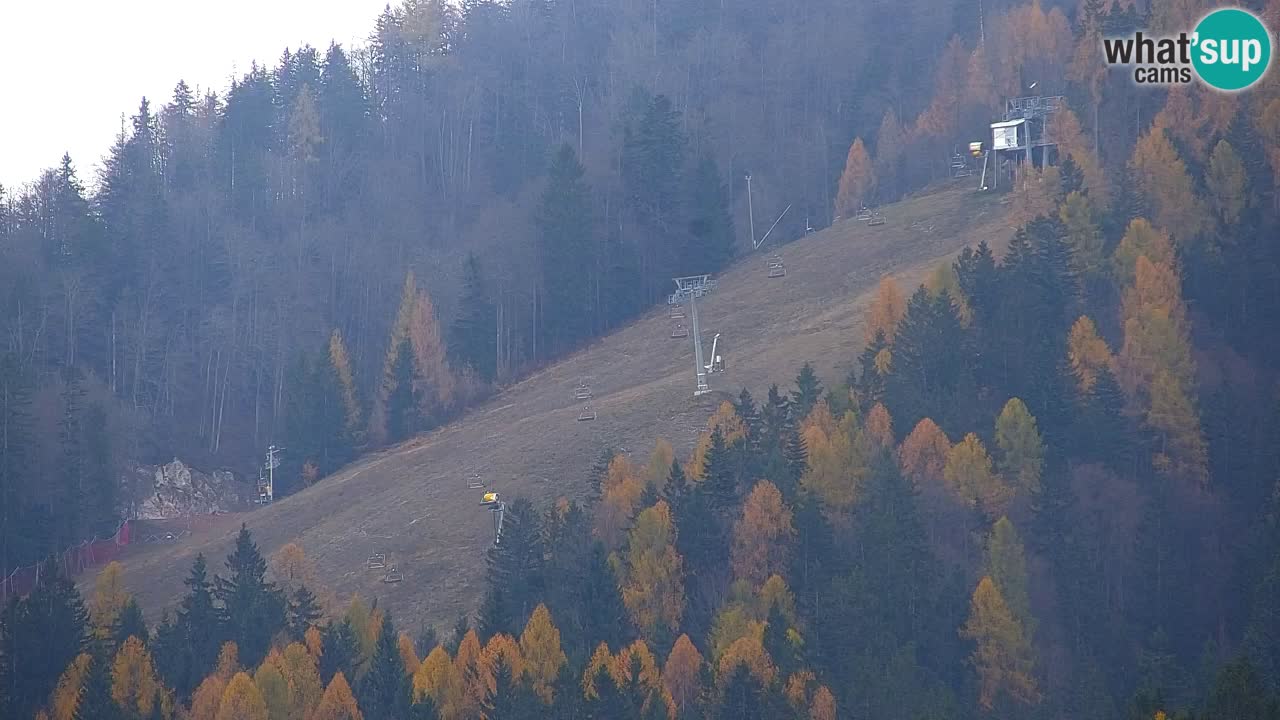 Skigebiet Kranjska Gora | Velika Dolina