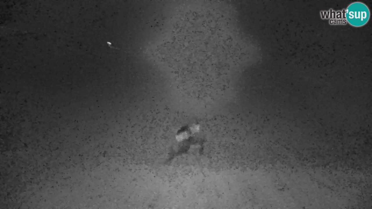 Ski Kranjska Gora | Velika Dolina