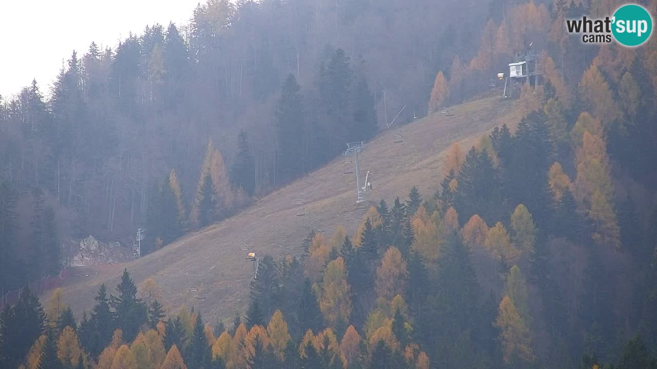 Skigebiet Kranjska Gora | Velika Dolina