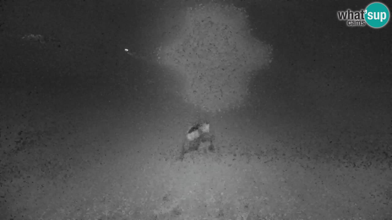 Estación de esquí Kranjska Gora | Velika Dolina