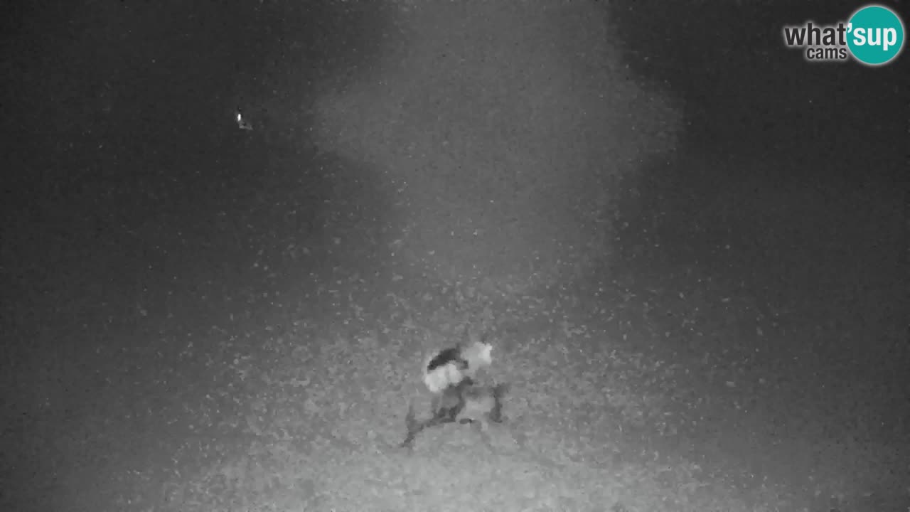 Skigebiet Kranjska Gora | Velika Dolina