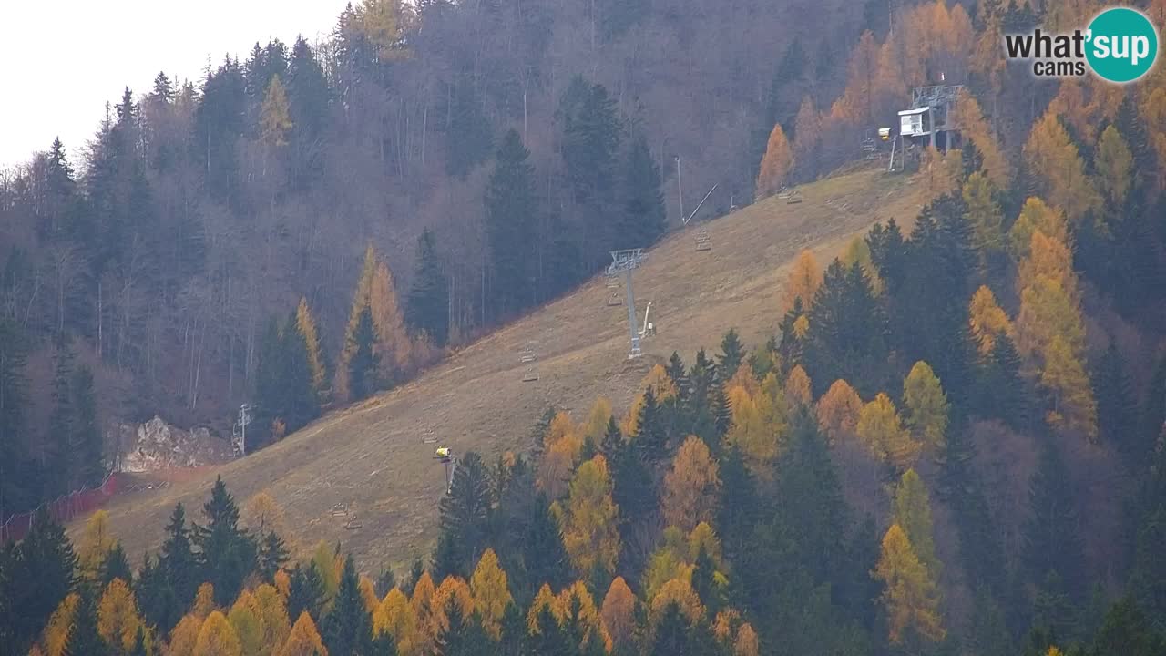 Skijanje Kranjska Gora | Velika Dolina