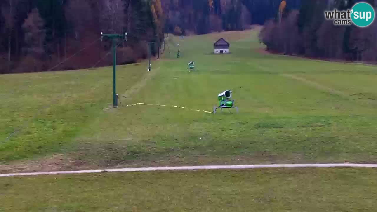 Skigebiet Kranjska Gora | Velika Dolina