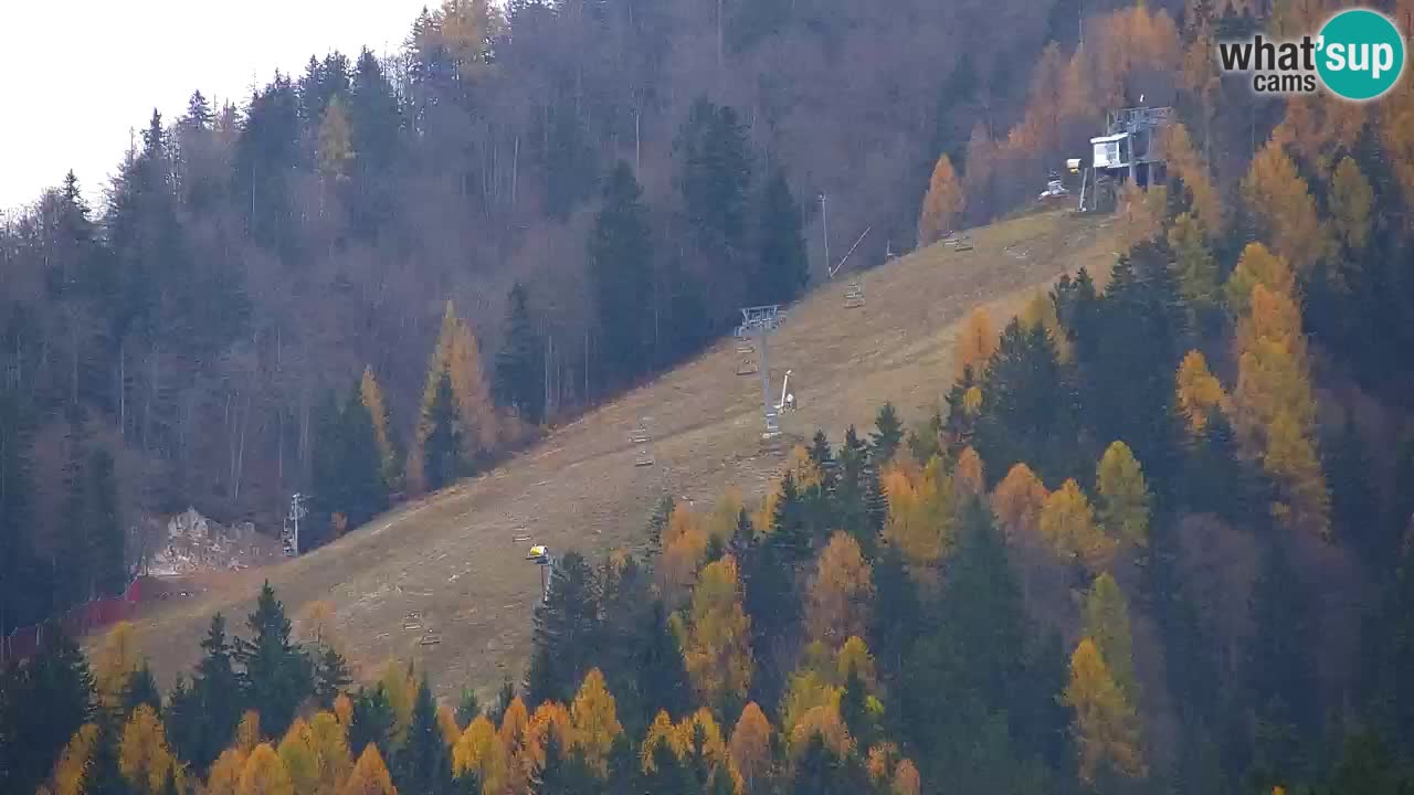 Kranjska Gora | Velika Dolina