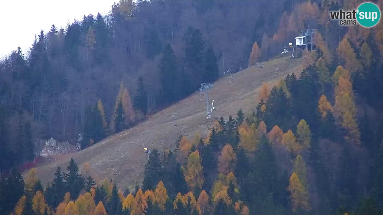 RTC Kranjska Gora | Velika Dolina