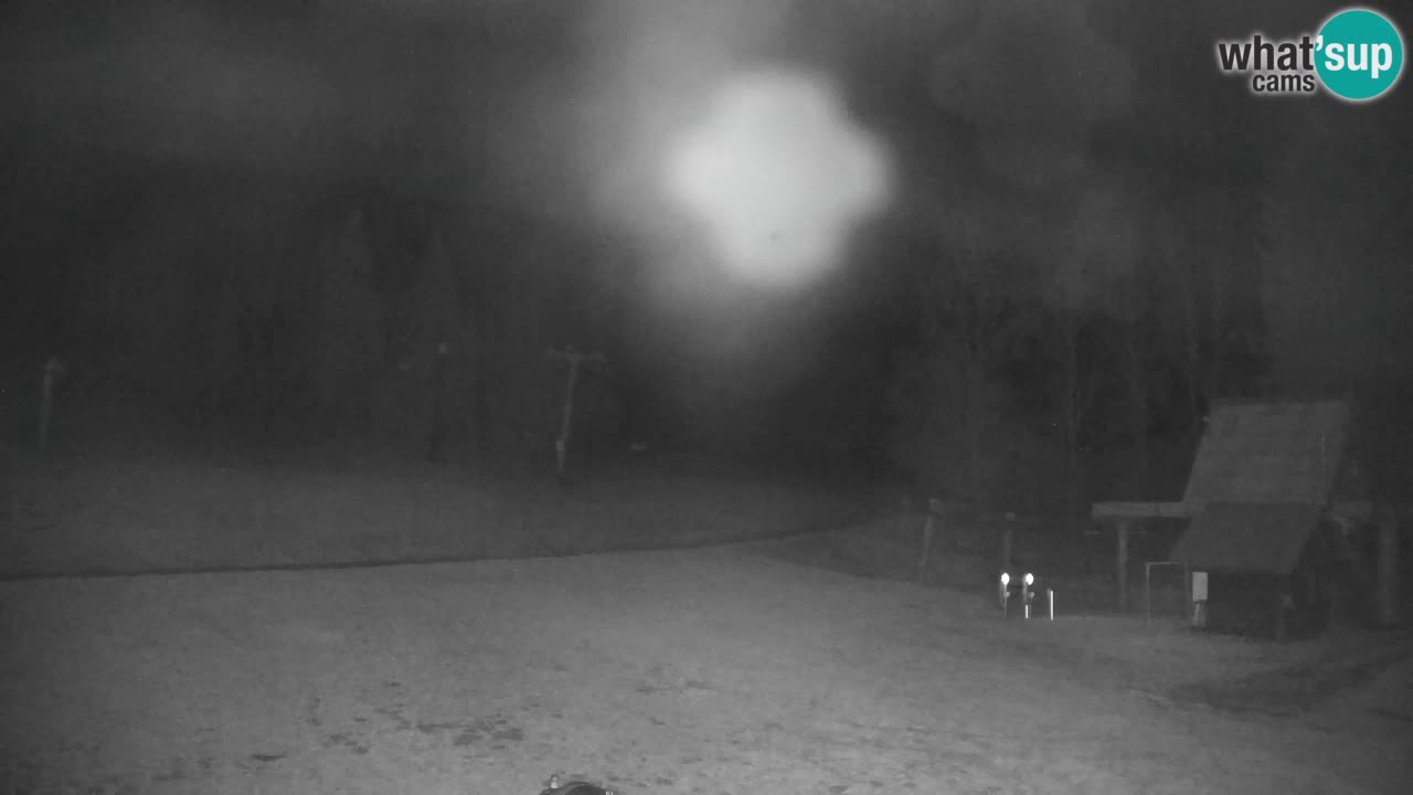 Skigebiet Kranjska Gora | Velika Dolina