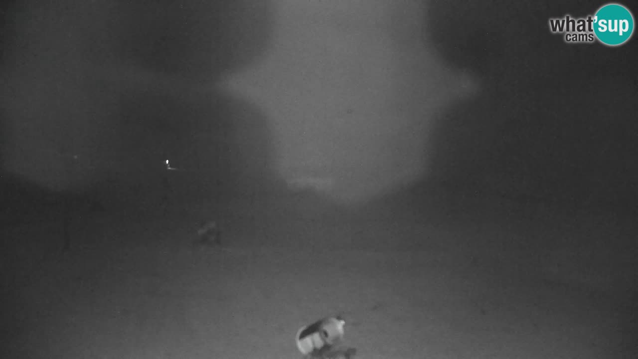 Estación de esquí Kranjska Gora | Velika Dolina