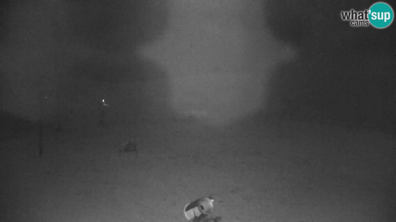 Ski Kranjska Gora | Velika Dolina