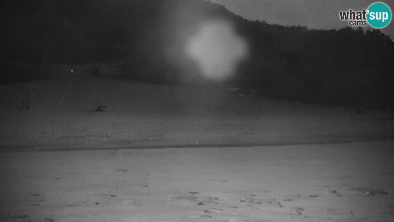 Ski Kranjska Gora | Velika Dolina