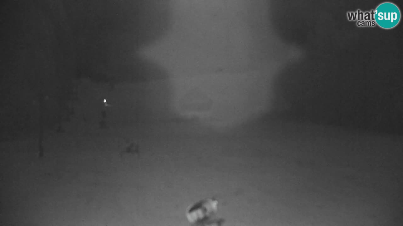 Estación de esquí Kranjska Gora | Velika Dolina