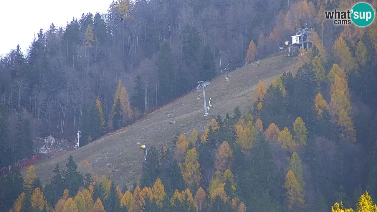 Ski Kranjska Gora | Velika Dolina